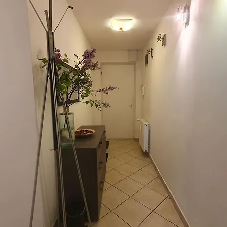 In The Heart Of Downtown Apartment Pecs